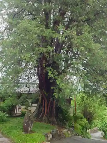 崇禅寺(群馬県)