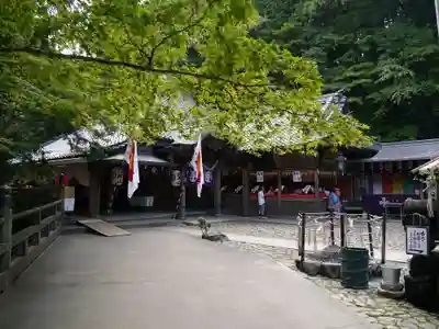 安養寺（立木観音）の本殿・本堂