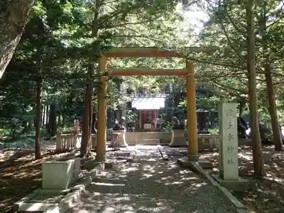 北海道神宮の鳥居