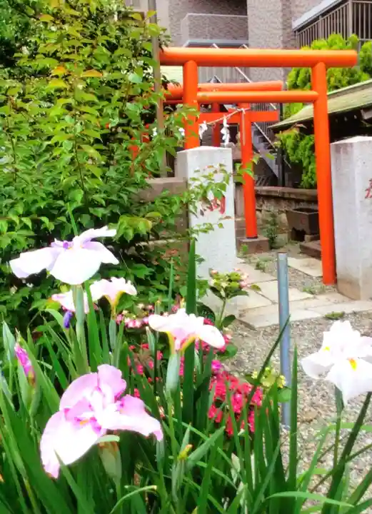 磐井神社(東京都)