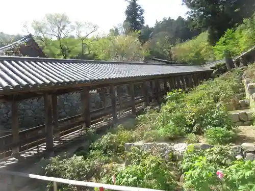 長谷寺の庭園