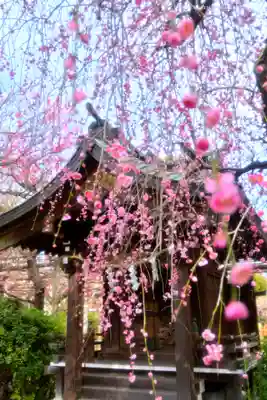 亀戸天神社(東京都)