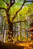 舘神社(宮城県)