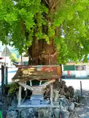 六所神社の末社