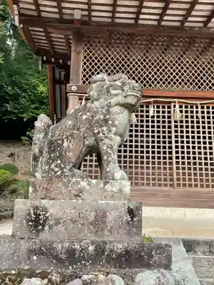 宇治上神社の狛犬