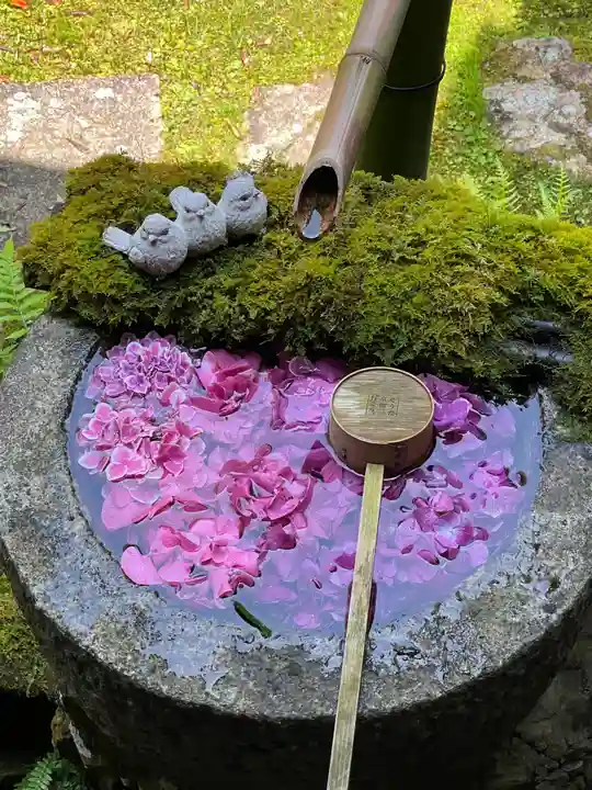 柳谷観音 楊谷寺の御朱印