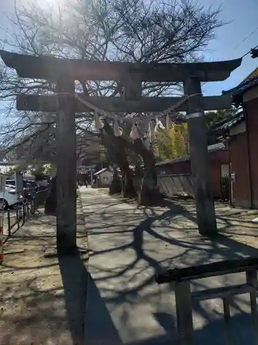 前玉神社(埼玉県)