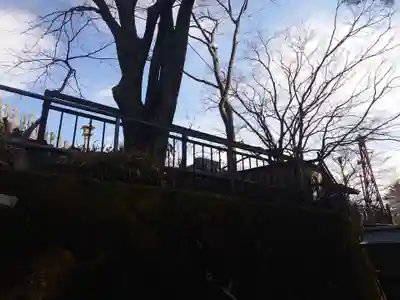 大山阿夫利神社の周辺