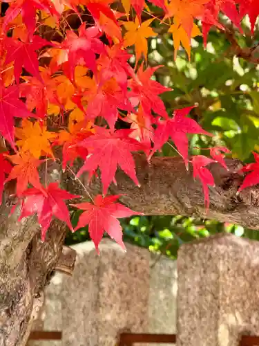 京都乃木神社(京都府)
