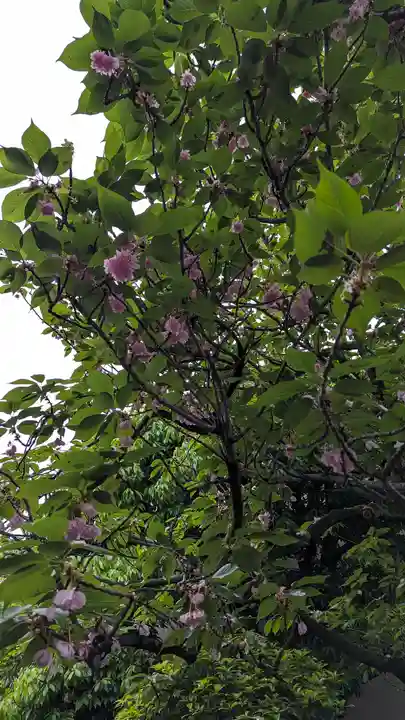 宝蔵寺(京都府)