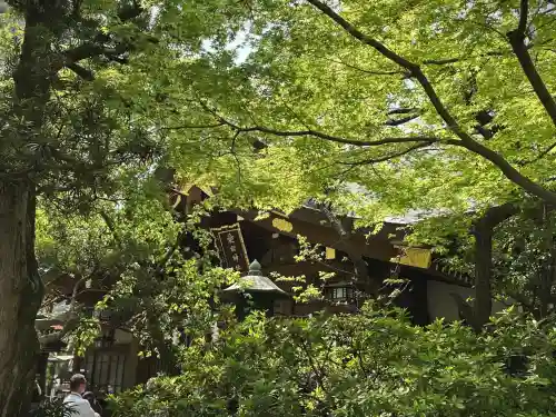 愛宕神社(東京都)