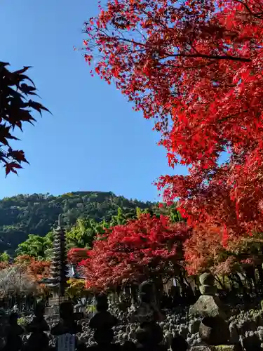 化野念仏寺の景色