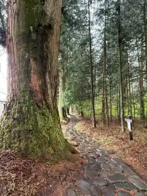 北野神社(栃木県)