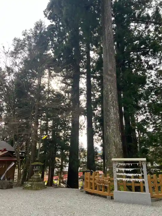 須山浅間神社(静岡県)