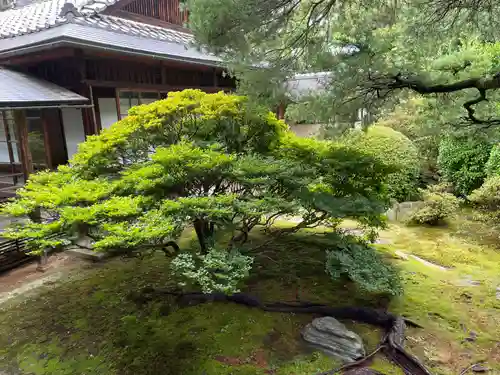 大心院(京都府)
