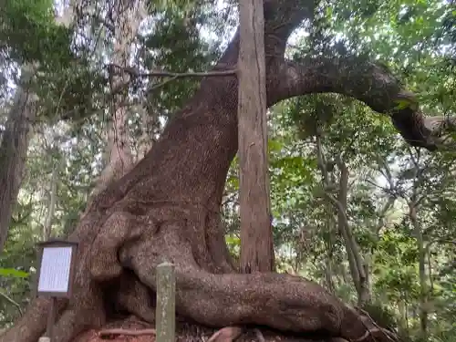 住吉神社(山口県)