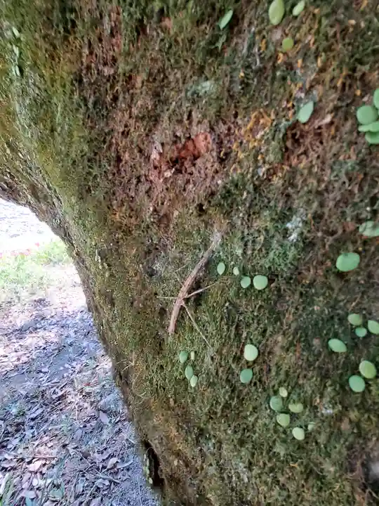 洲原神社(岐阜県)