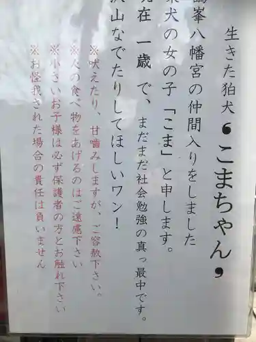 鶴峯八幡宮(千葉県)