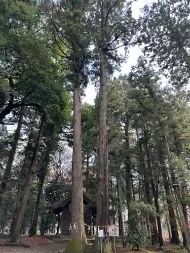 間々田八幡宮(栃木県)