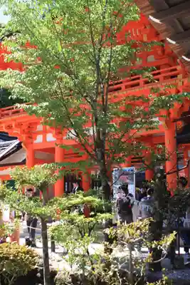 賀茂別雷神社（上賀茂神社）(京都府)