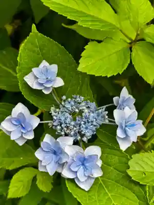 涌谷神社(宮城県)