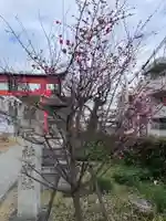 五社神社(京都府)