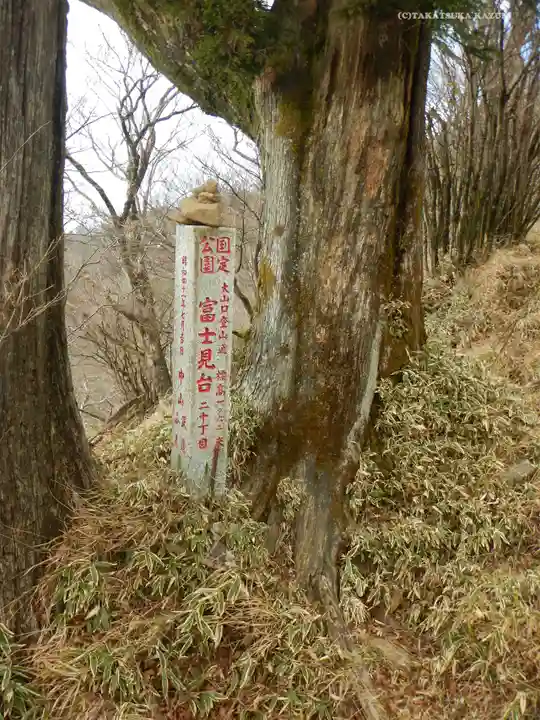 大山阿夫利神社本社の周辺