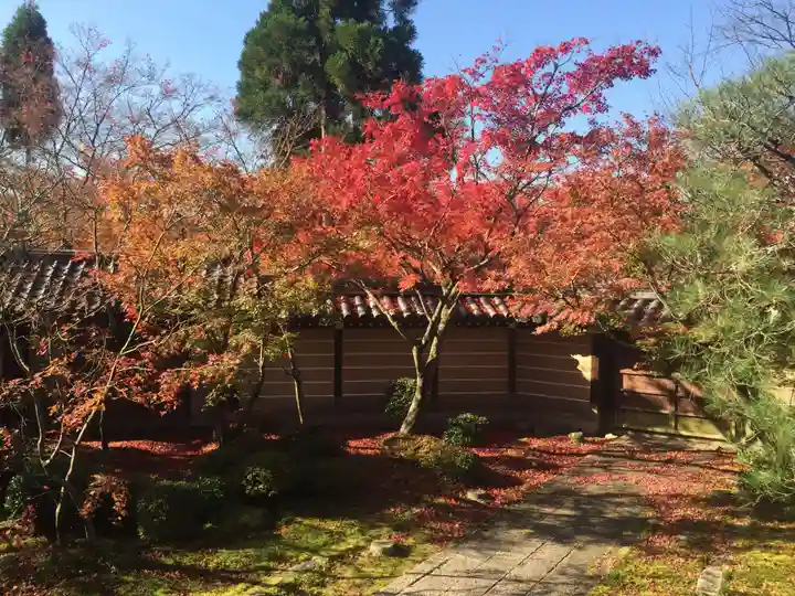 禅林寺(永観堂)の景色