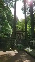高森阿蘇神社の狛犬