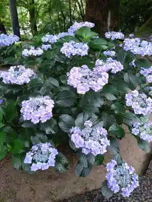 宝満宮竈門神社(福岡県)