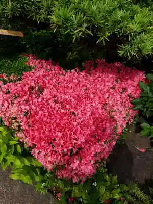 一乗寺(東京都)