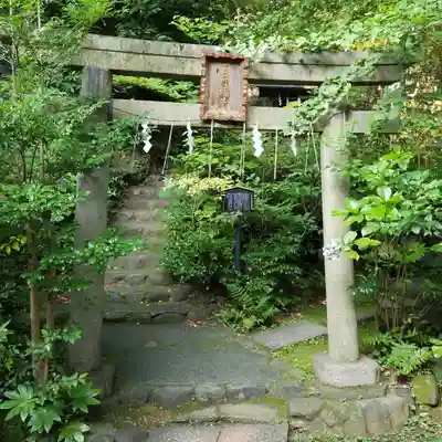 赤坂氷川神社の鳥居