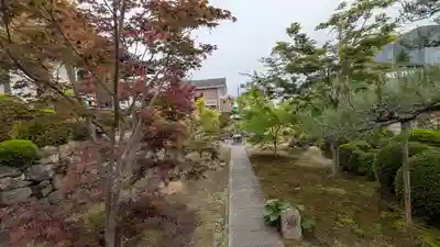 薬薗寺(京都府)