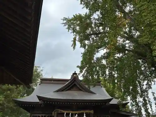 千勝神社(茨城県)