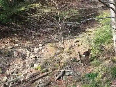 八意思兼神社の周辺