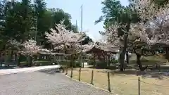 武田神社の建物その他