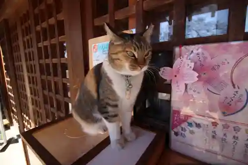 前玉神社(埼玉県)