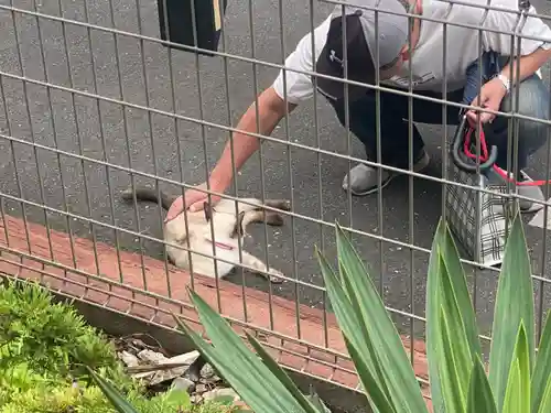 宣隆寺(三重県)