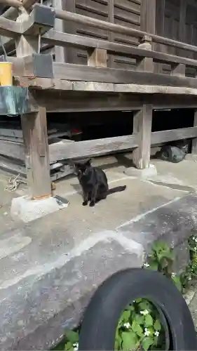 蛭子神社(神奈川県)