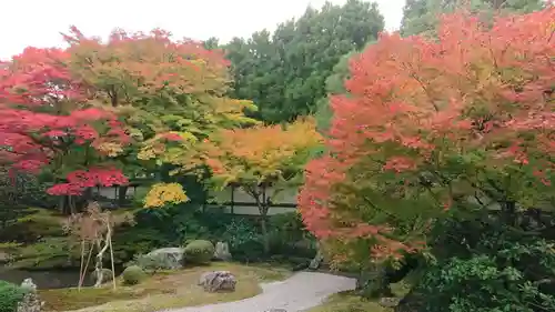 御寺 泉涌寺の庭園