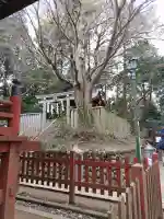 冨士浅間神社(東京都)