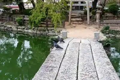 住吉神社(山口県)