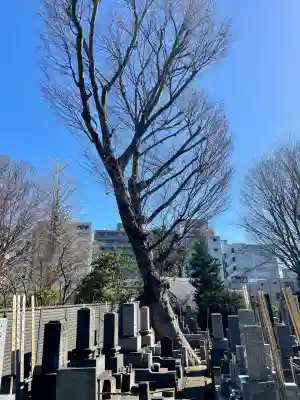 永泉寺の{uncategorized: "未分類", other: "その他", undefined: "問題あり", building: "その他建物", grave: "お墓", sacred_gate: "鳥居", guardian: "狛犬", statue: "像", buddha: "仏像", history: "歴史", nature: "自然", garden: "庭園", animal: "動物", pagoda: "塔", temizu: "手水舎", mountain_gate: "山門・神門", sanctuary: "本殿・本堂", subordinate: "末社・摂社", art: "芸術", scenery: "景色", jizo: "地蔵", ema: "絵馬", goshuin: "御朱印", omikuji: "おみくじ", items: "授与品その他", amulet: "お守り", goshuincho: "御朱印帳", eats: "食事", festival: "お祭り", votive_dance: "神楽", shichigosan: "七五三参", wedding: "結婚式", experience: "体験その他", initially: "初詣", around: "周辺", anti_infection: "感染症対策"}