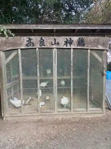 高良大社(福岡県)