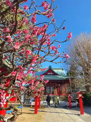 岡村天満宮(神奈川県)