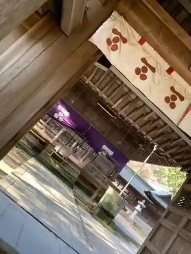 野田神社の本殿・本堂