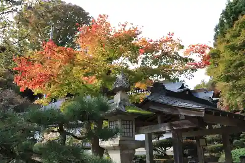 鹿島大神宮の自然