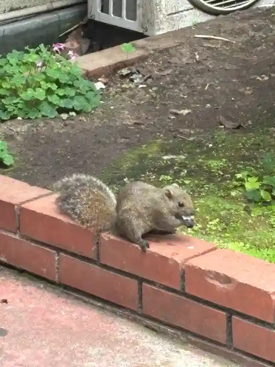 江島神社(神奈川県)
