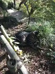 唐澤山神社の動物