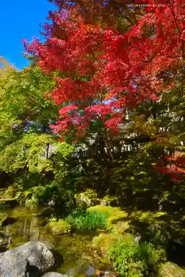 古峯神社(栃木県)